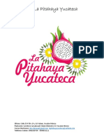 Proyecto Federal Sembrando Vida La Pitahaya Yucateca 2020