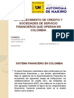 Establecimiento de Credito y Sociedades de Servicio Financieros