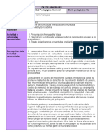 Formato Diario Peda