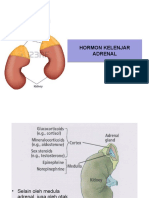 Hormon Kel.Adrenal-UGM-2018 (1)