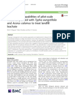 Remediation Capabilities of Pilot-Scale PDF