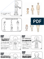 Fichas de Ciencias Naturales