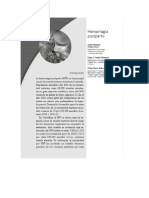 Codigo rojo Nuevo pdf