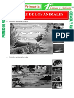 Habitad de Los Animales para Primero de Primaria