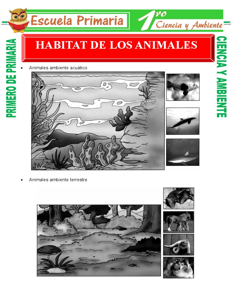 Habitad de Los Animales para Primero de Primaria PDF Organismos