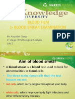 lab-2-Blood-Smear_0a6dfda997f147d9dba7be04f8bfa2ca