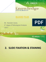 Lab 3 Clinical Hematology Blood Stain