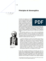 Principios de energética (1).pdf