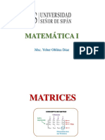 Guía - Matrices y Determinantes PDF