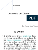 RESTAURADORA 1 - Anatomia - Del - Diente CLASE 1