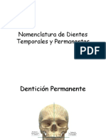RESTAURADORA2_.-_Nomenclatura_de_Dientes_Temporales_y_Permanentes CLASE 2.ppt
