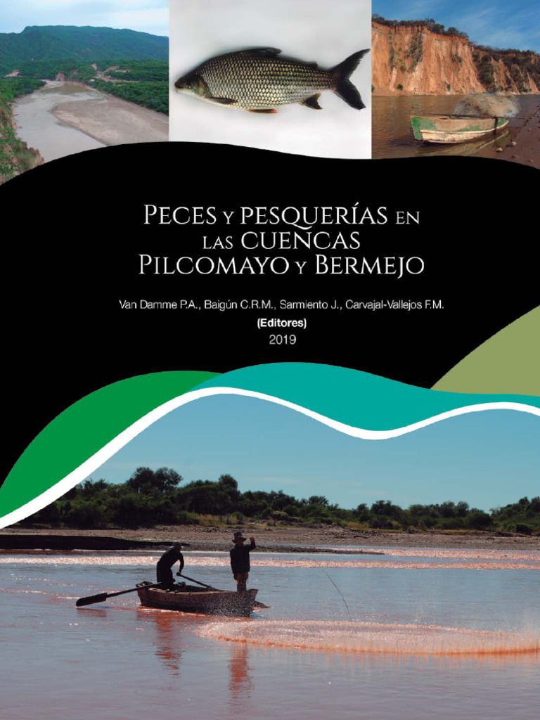 Dos Cañas De Pescar Con Líneas Y Carretes Unidos En Un Soporte De La  Varilla Con Vistas A Las Tranquilas Aguas De Un Lago De Agua Dulce En Una  Vista De Cerca