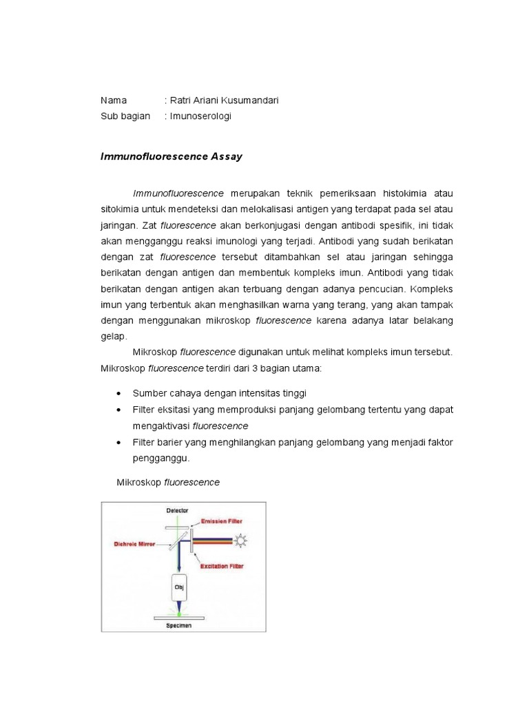 Immunofluorescence Assay Ifa | PDF