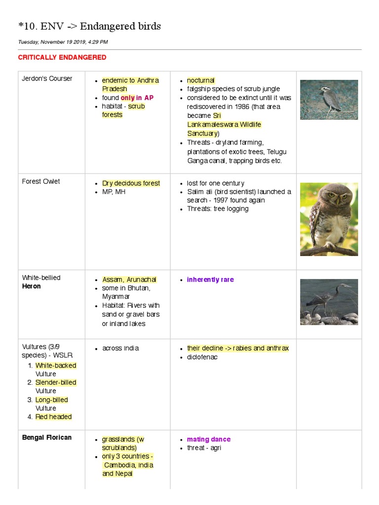 ENV - Endangered Birds PDF | PDF | Himalayas | Birds
