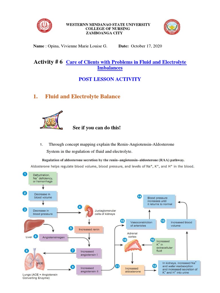 Fluid and Electrolyte Imbalance Care Plan | PDF | Vitamin C | Medical ...