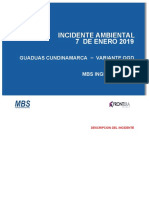 Incidente Ambiental Presentacion