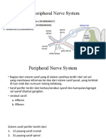 The Peripheral Nerve System