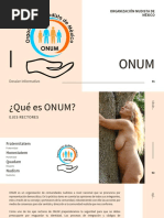 DOSSIER ONUM DEFINITIVO