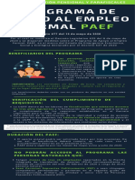 Paef Decreto 677 2020