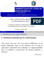 Capítulo IV PROBLEMAS AMBIENTALES DE CUENCAS HIDROGRÁFICAS-CONTAMINACIÓN PDF