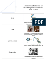 Dna Quizlet Cards