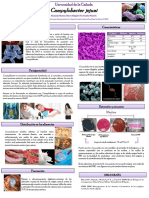 campylobacter_jejunni