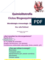 Clase QLT 2020 PDF