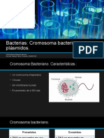 Cromosoma Bacteriano y Plásmidos.