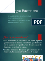 Membranas Intracitoplasmaticas, Gránulos Metacromaricos, Vacuolas de Gas, Mesosomas Bacterianos y Endoesporas