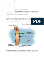 Qué Es El Líquido Intersticial