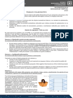 TC_MatematicasII_Optimizacion.pdf