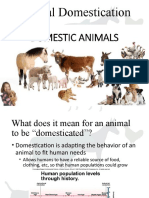 Domestication and Uses.pptx