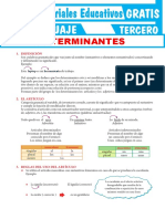 Clases de Determinantes