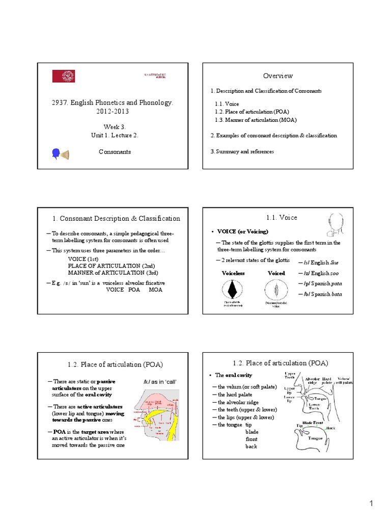 English+Phonetics+and+Phonology +unit+1 +consonants +lecture+2 | PDF ...