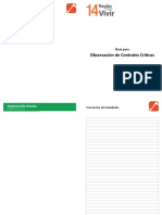Guia para Observación de Controles Críticos v01 PDF