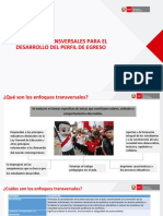 enfoques_transversales.pdf
