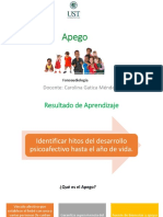 Clase 3 VÃ - Nculo y Apego PDF