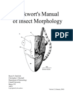 Eickwort's Manual of Insect Morphology
