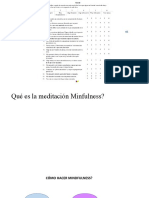 PP Portal Mindfulness