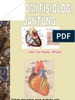 Anatomi Fis Jantung