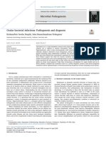 Ocular Bacterial Infections, Pathogenesis and Diagnosis