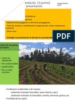 3 Seleccion de Forrajes PDF