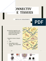 Connective Tissue Histology Guide