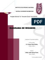 Diagrama de Wiggers PDF