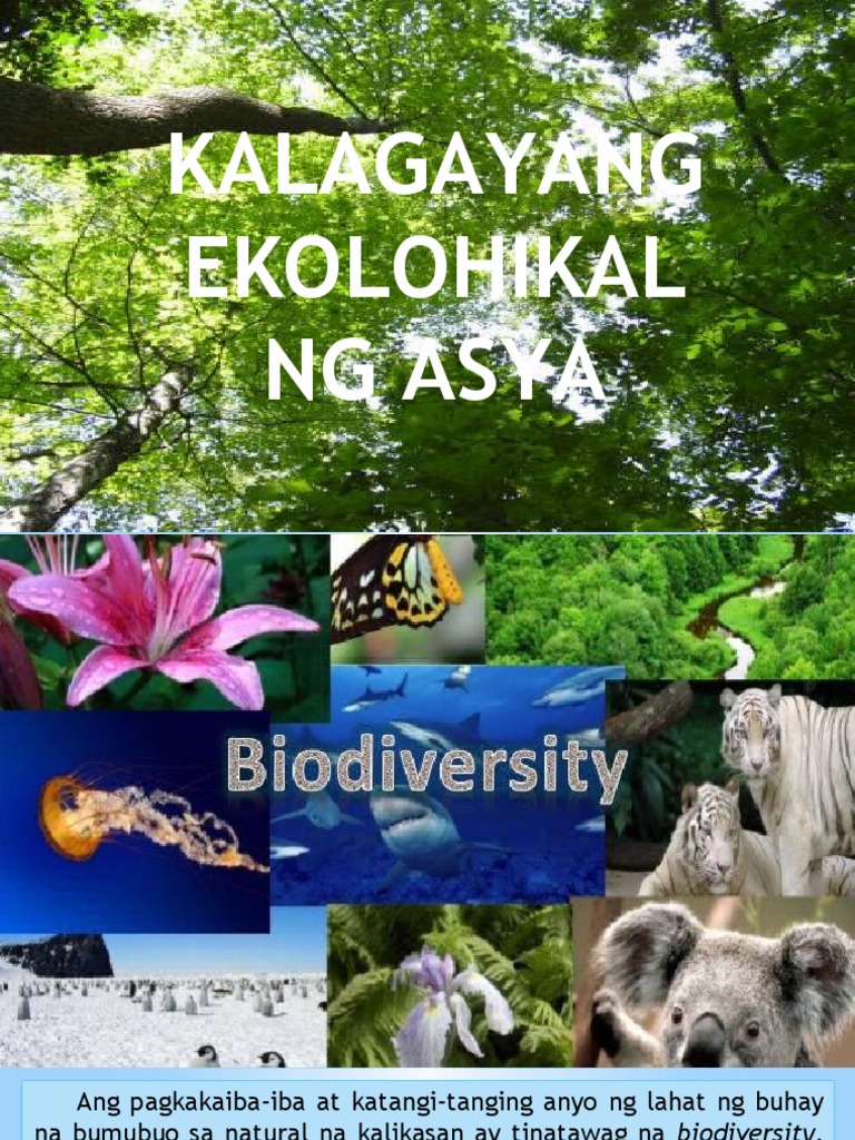 Kalagayang Ekolohikal Ng Asya