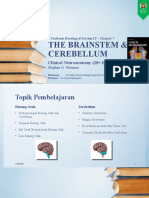The Brainstem & Cerebellum