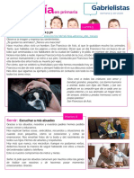 Primaria 5-10-20 PDF