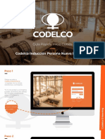 Guía rápida inicio cursos Codelco