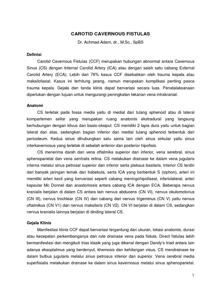 Document PDF | PDF