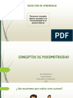 Conceptos Grales - Enfoques Psicomotores (Autoguardado) PDF
